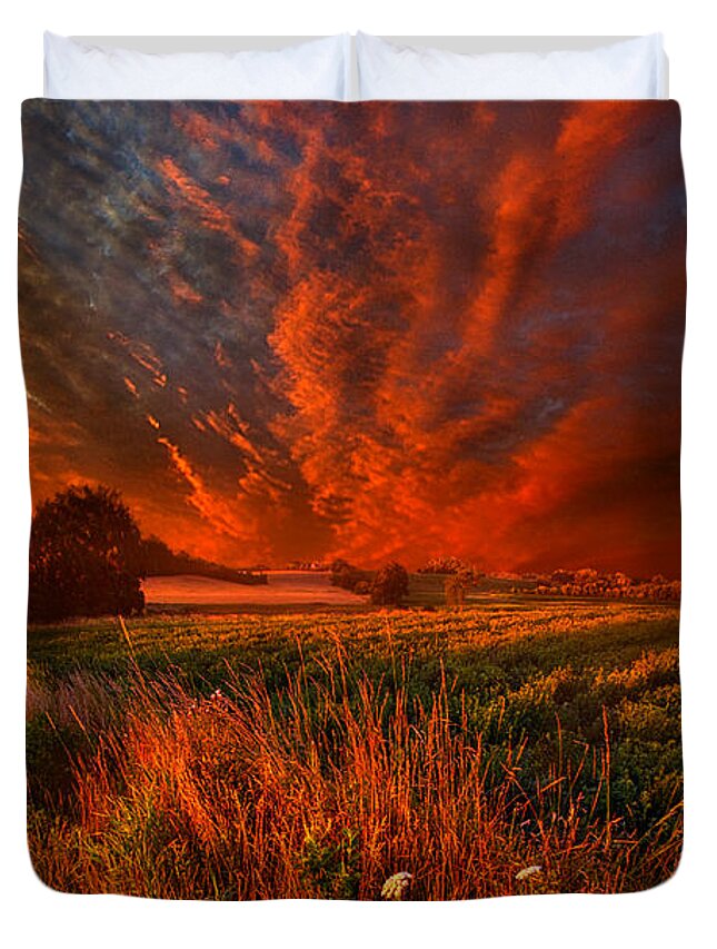 Wild Life Duvet Cover featuring the photograph What About Now by Phil Koch