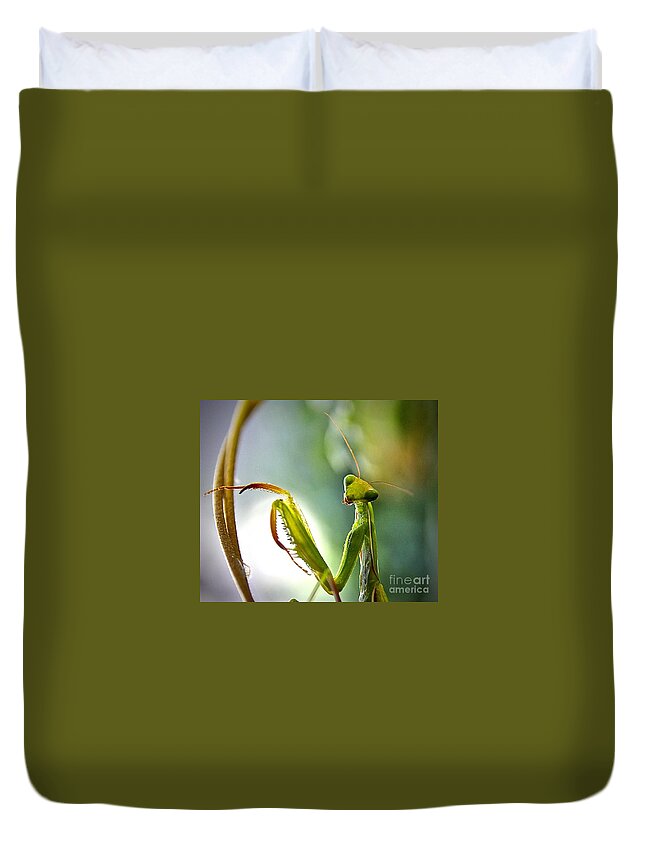 Praying Mantes Duvet Cover featuring the photograph What A Look by Elisabeth Derichs