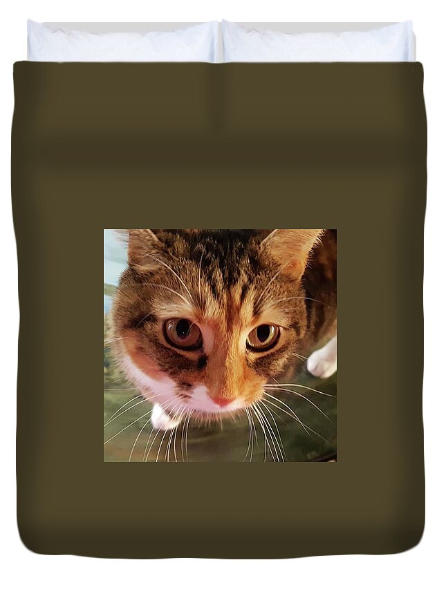 Cat Duvet Cover featuring the photograph Hungry Eyes by Rowena Tutty