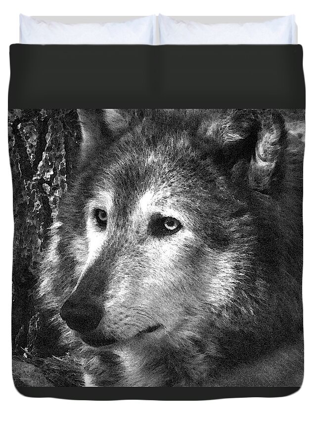 Wolf Duvet Cover featuring the photograph What is a Wolf Thinking by Karol Livote