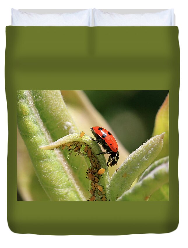Ladybug Duvet Cover featuring the photograph What Lies Beneath by Donna Kennedy