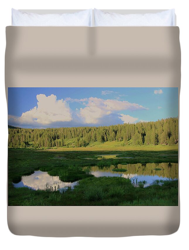 Incline Lake Duvet Cover featuring the photograph What's Left Of A Lake by Sean Sarsfield