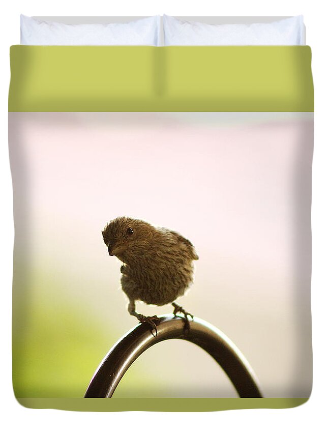 Female House Finch Duvet Cover featuring the photograph Whats Up House Finch by Colleen Cornelius