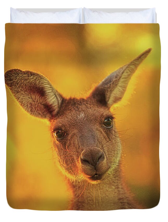 Mad About Wa Duvet Cover featuring the photograph What's Up, Yanchep National Park by Dave Catley