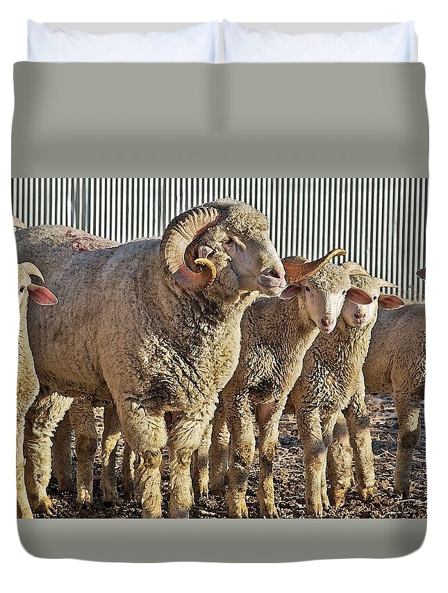 Sheep Duvet Cover featuring the mixed media When I Am Older by Amanda Smith