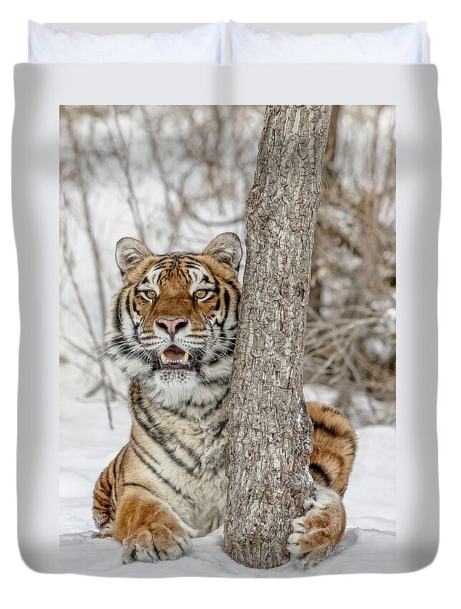 When Tigers Hide Duvet Cover featuring the photograph When Tigers Hide by Wes and Dotty Weber