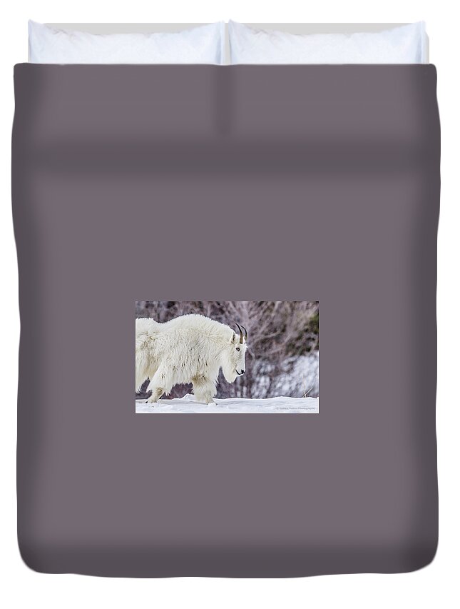 Mountain Duvet Cover featuring the photograph Where Mountain Goats Walk by Yeates Photography