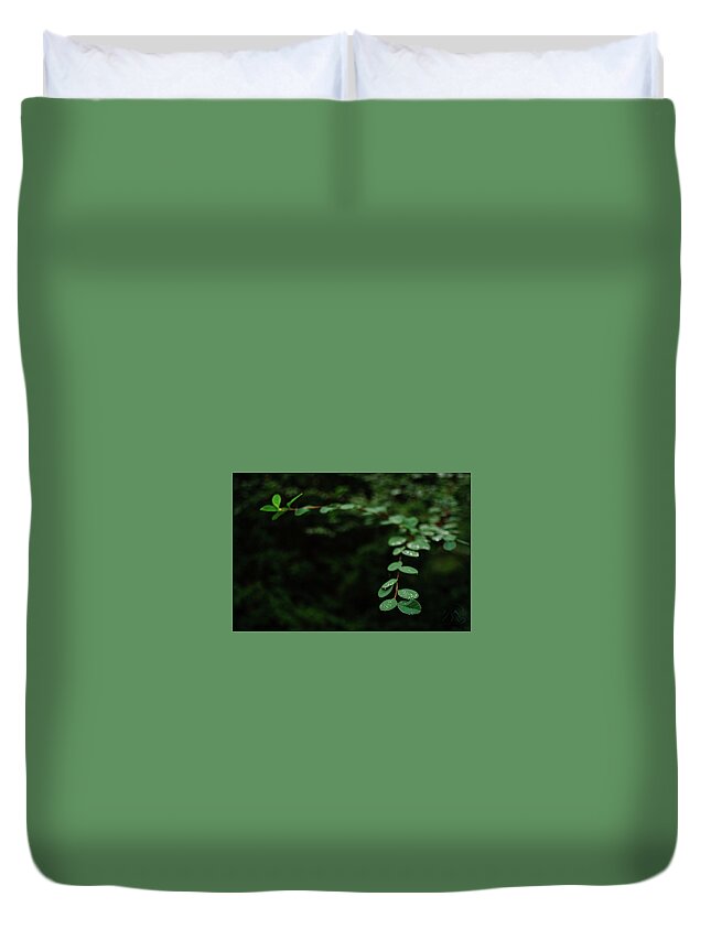Leaves Duvet Cover featuring the photograph Outreaching by Gene Garnace