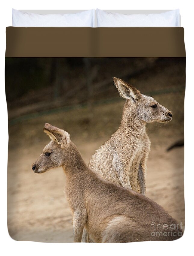 Australia Duvet Cover featuring the photograph Which way shall we go? by Agnes Caruso