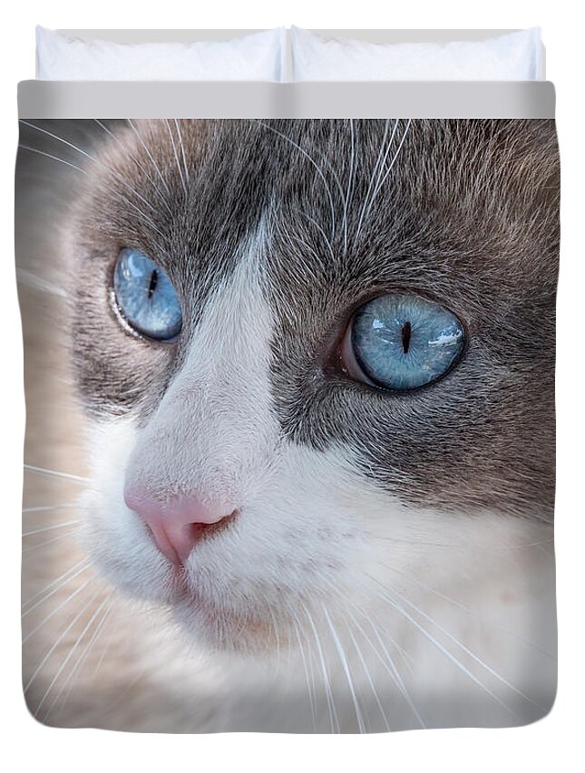 Cat Duvet Cover featuring the photograph Whiskers by Derek Dean