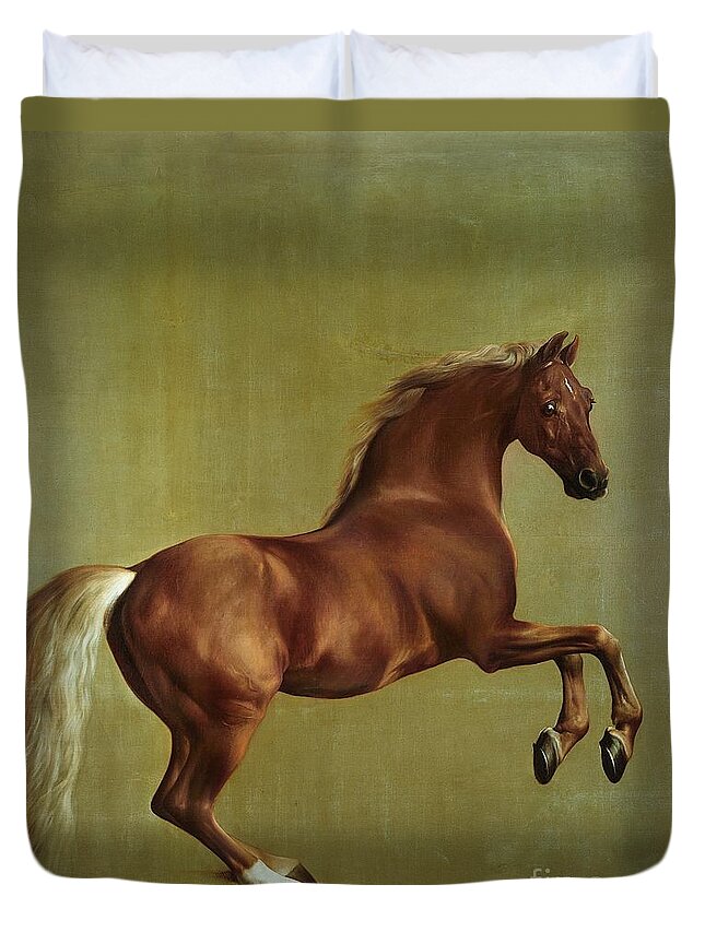 Whistlejacket Duvet Cover featuring the painting Whistlejacket by George Stubbs