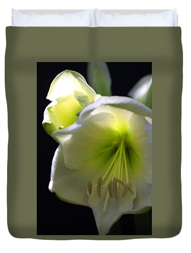 Flower Duvet Cover featuring the photograph White Amaryllis by Tammy Pool