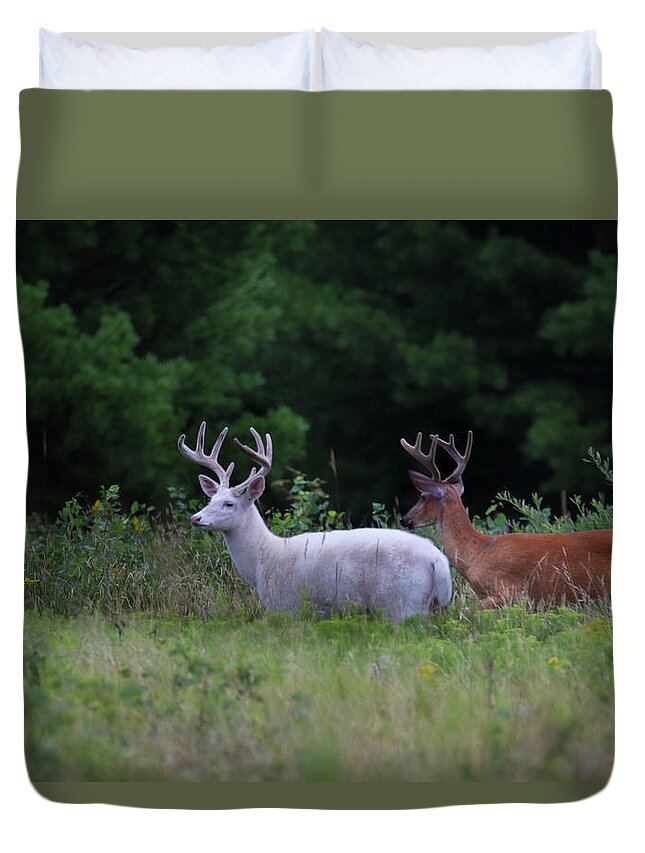 Deer Duvet Cover featuring the photograph White and Brown Bucks by Brook Burling