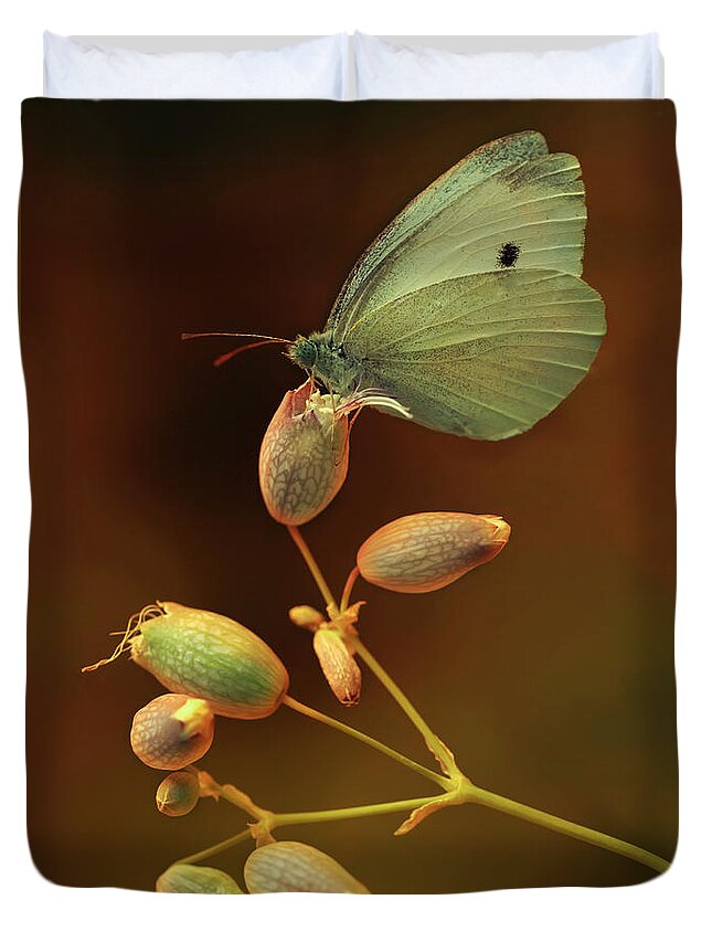 Lonicera Duvet Cover featuring the photograph White and green butterfly on dried flowers by Jaroslaw Blaminsky