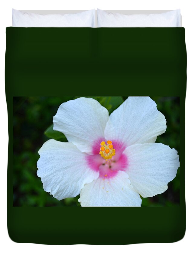 Flower Duvet Cover featuring the photograph White and Pink Hibiscus by Amy Fose