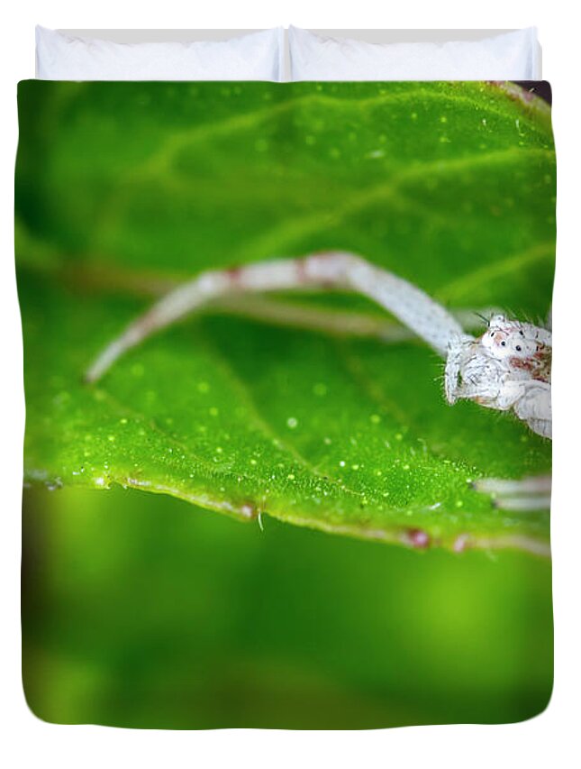 2018 Duvet Cover featuring the photograph White and Red Crab Spider on Mint by Shawn Jeffries
