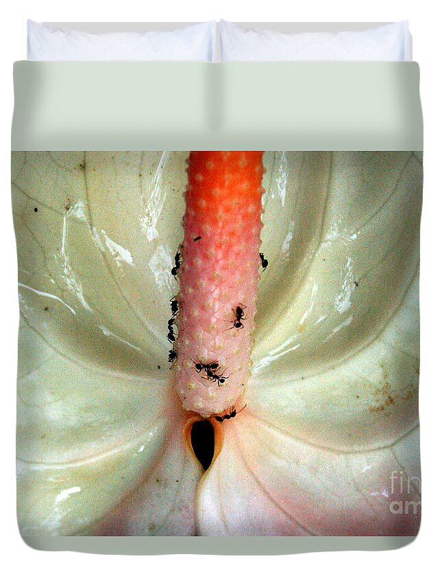 Jennifer Bright Duvet Cover featuring the photograph White Antherium 1 by Jennifer Bright Burr