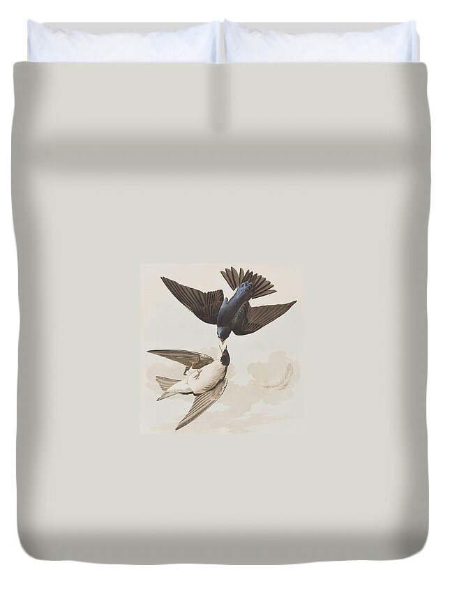White Bellied Swallow Duvet Cover For Sale By John James Audubon