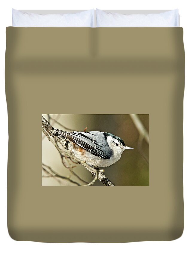 White-breasted Duvet Cover featuring the photograph White-breasted Nuthatch 4377 by Michael Peychich