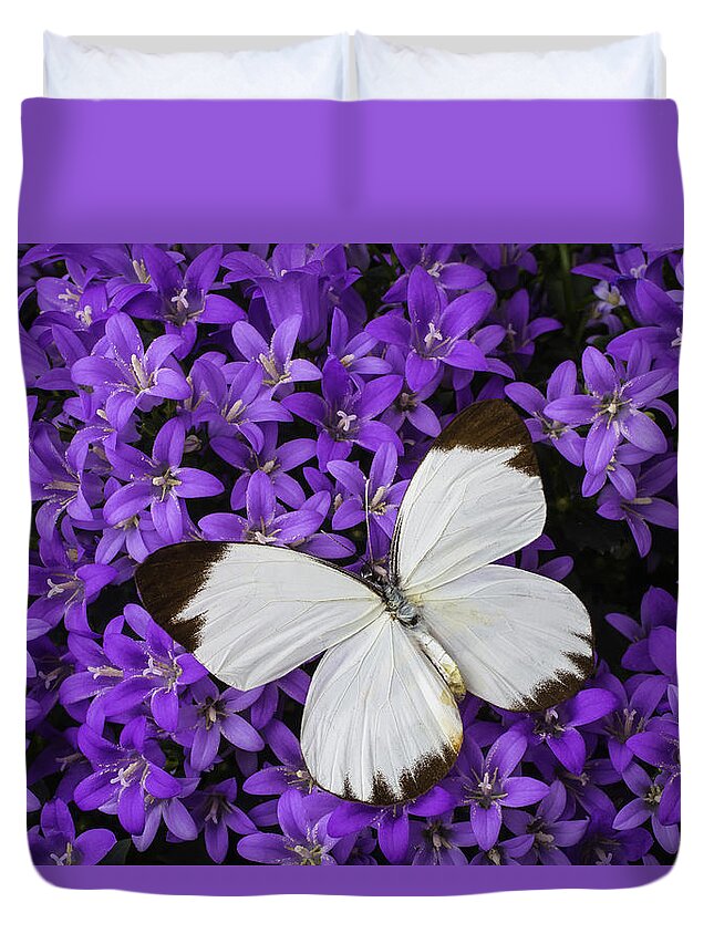 White Butterfly On Campanula Get Mee Duvet Cover For Sale By Garry Gay