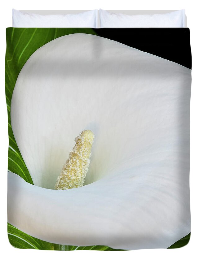Calla Duvet Cover featuring the photograph White Calla by Heiko Koehrer-Wagner