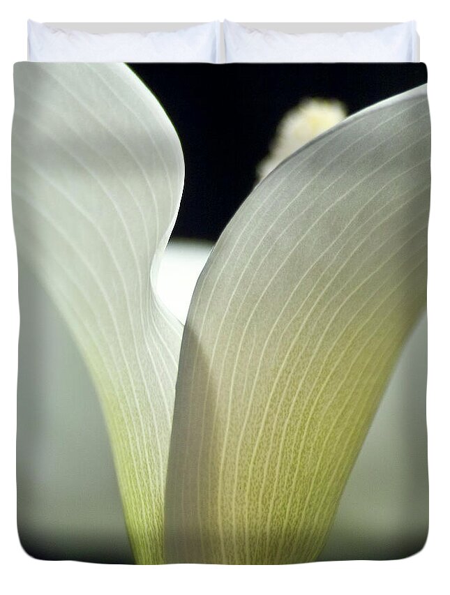 Calla Duvet Cover featuring the photograph White Calla Lily by Heiko Koehrer-Wagner