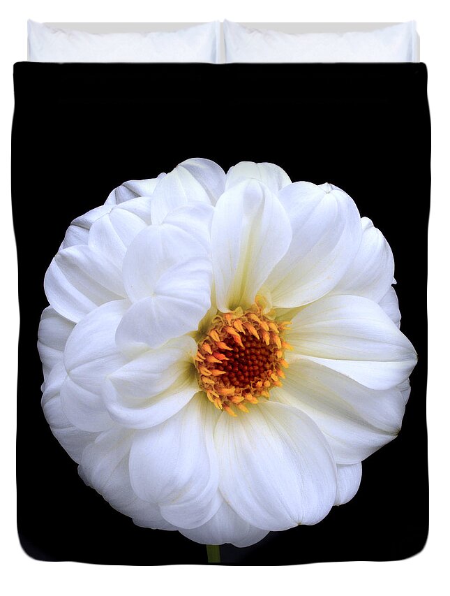 White Duvet Cover featuring the photograph White Dahlia by Terence Davis