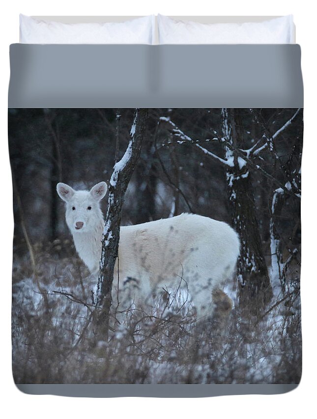  Duvet Cover featuring the photograph White Deer in Winter by Brook Burling
