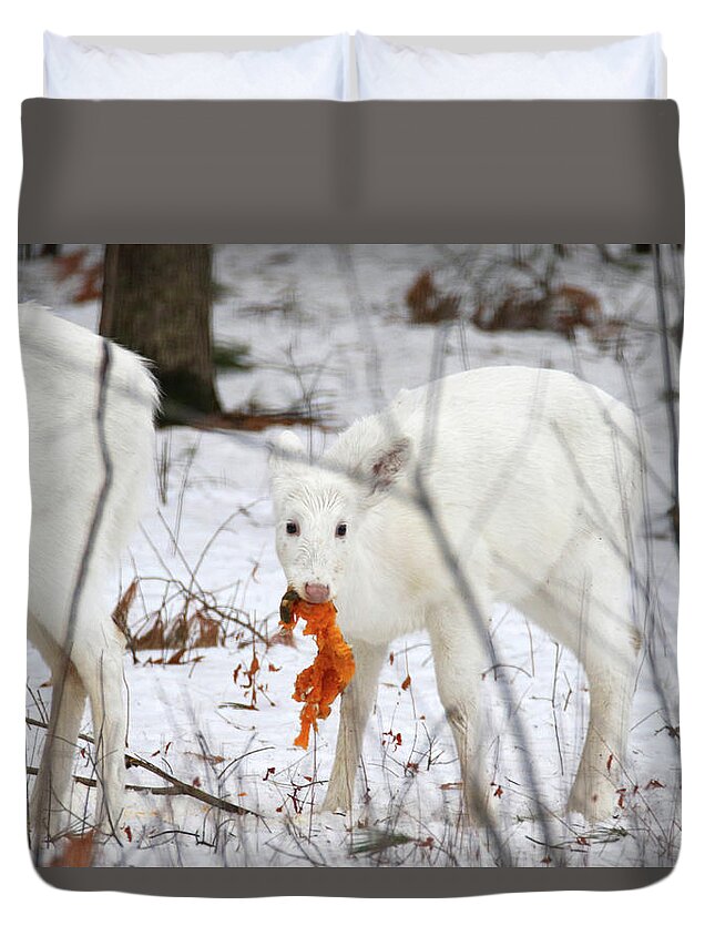 White Duvet Cover featuring the photograph White Deer With Squash 5 by Brook Burling
