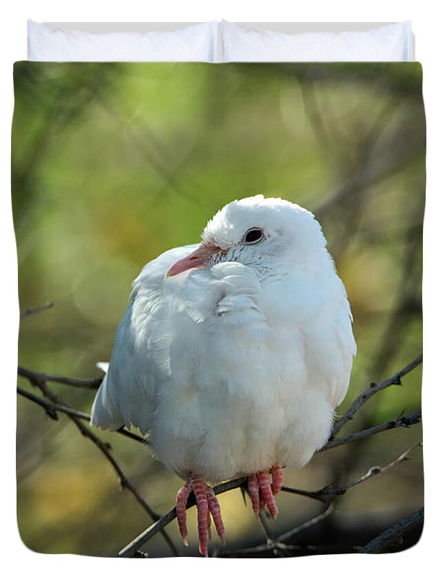 Dove Duvet Cover featuring the photograph White Dove by Tam Ryan
