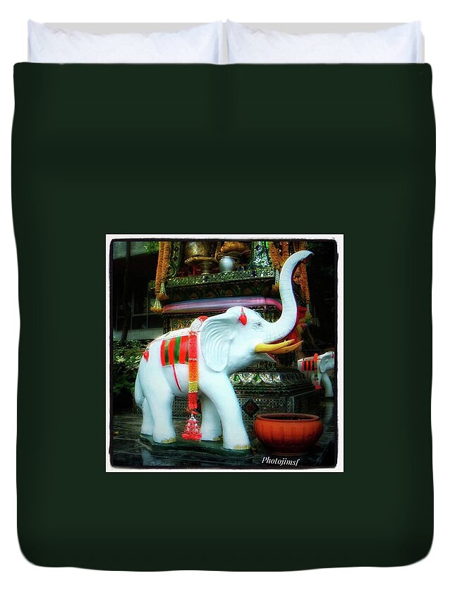 Elephantart Duvet Cover featuring the photograph White Elephant. Meaning A Big Expensive by Mr Photojimsf
