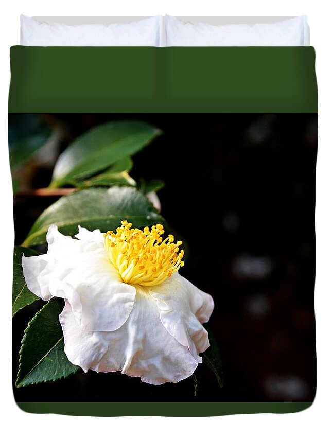 White-flower Duvet Cover featuring the photograph White Flower-so Silky And White by Adrian De Leon Art and Photography