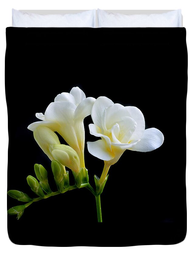 Freesia Duvet Cover featuring the photograph White Freesia by Terence Davis