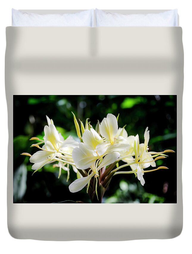 Flowers Duvet Cover featuring the photograph White Hawaiian Flowers by Daniel Murphy