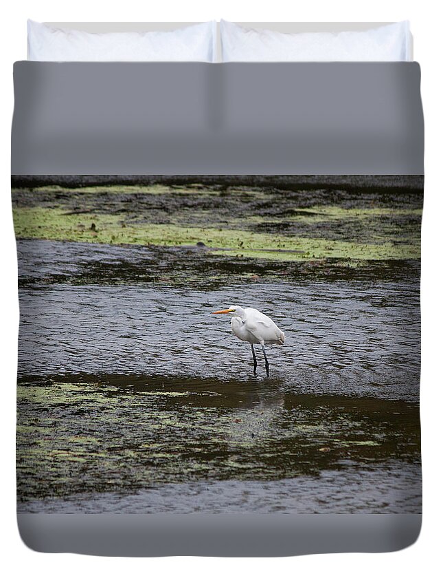 Wildlife Duvet Cover featuring the photograph White Heron on the Hudson by Jeff Severson