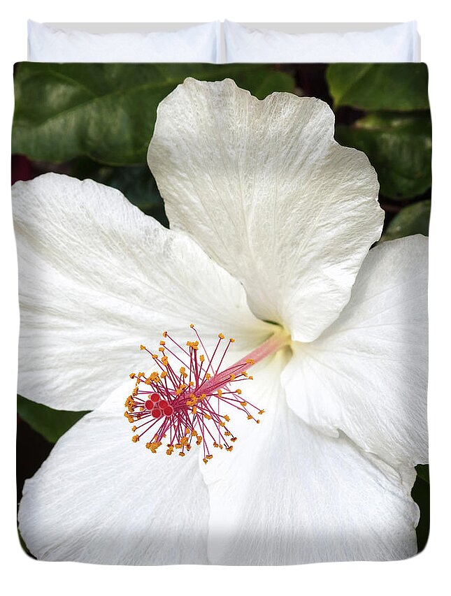 Hibiscus Duvet Cover featuring the photograph White Hibiscus Flower by Pierre Leclerc Photography