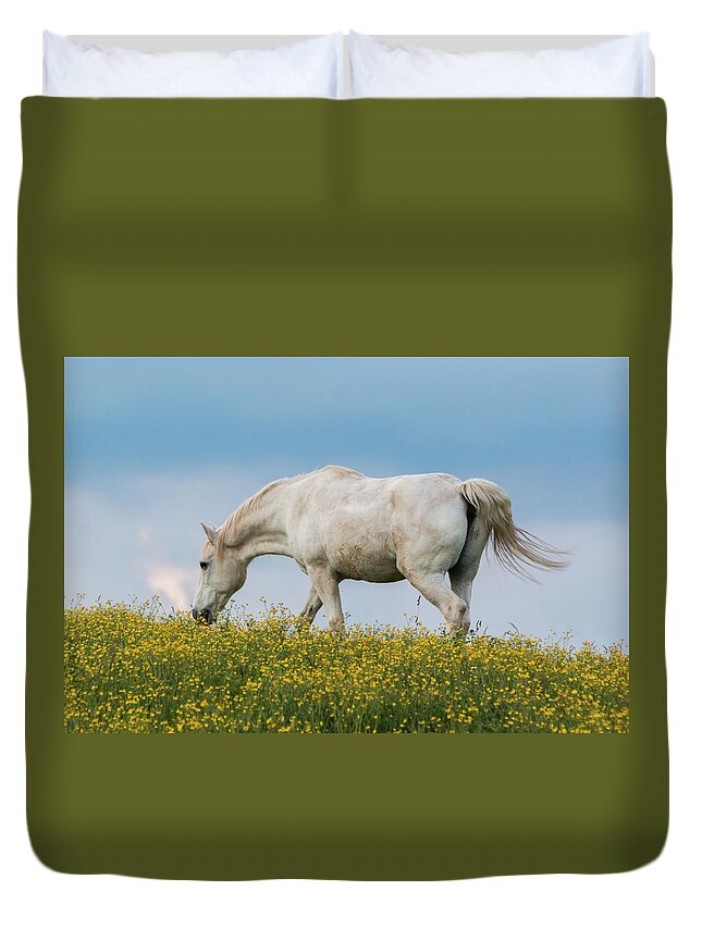 Horse Duvet Cover featuring the photograph White Horse of Cataloochee Ranch 2 - May 30 2017 by D K Wall