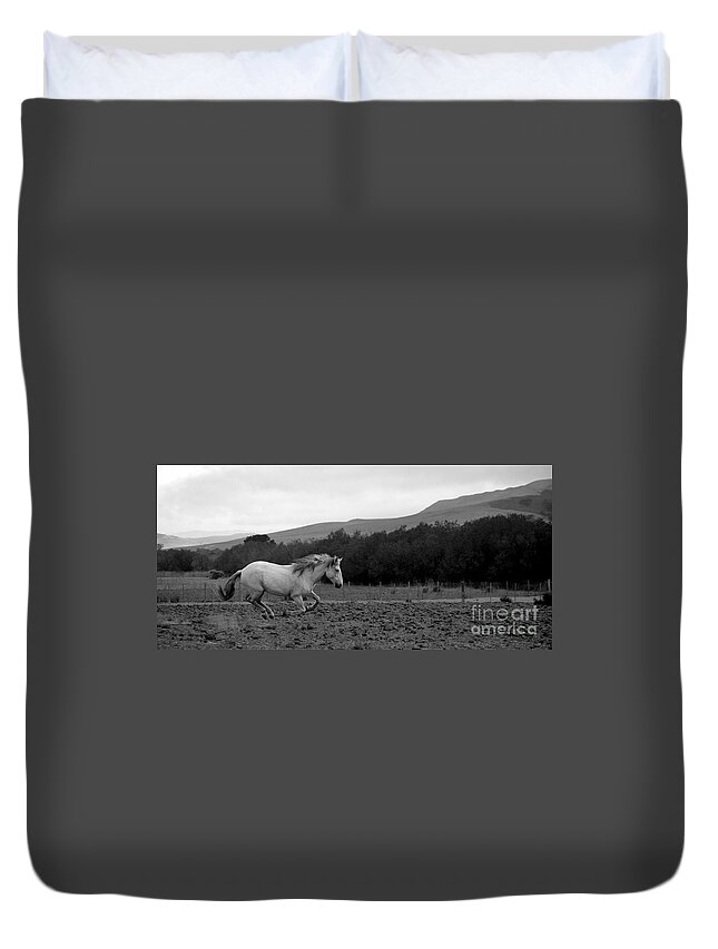 Rtf Ranch Duvet Cover featuring the photograph White Mare Gallops #1 - Panoramic Black and White by Heather Kirk
