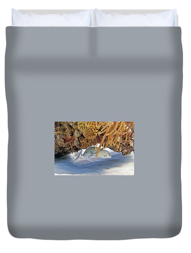 Underwater Duvet Cover featuring the photograph White Margates by Daryl Duda