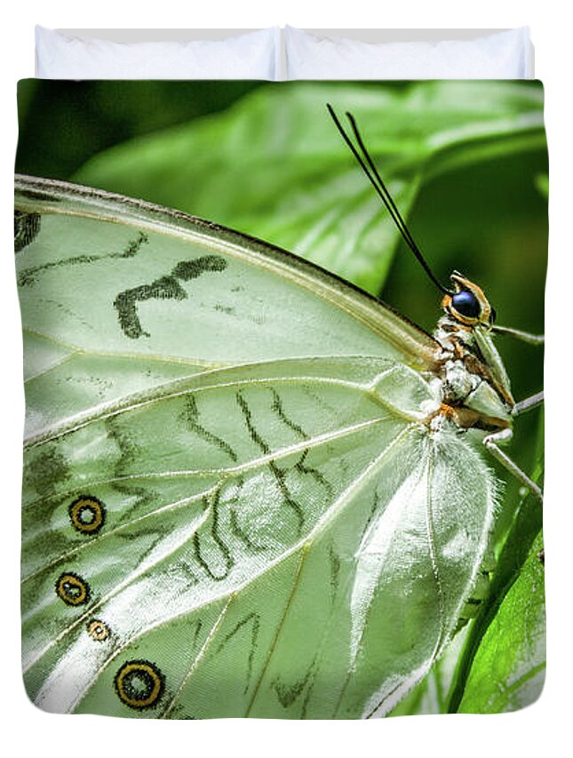 White Morpho Butterfly Duvet Cover featuring the photograph White Morpho Butterfly by Joann Copeland-Paul