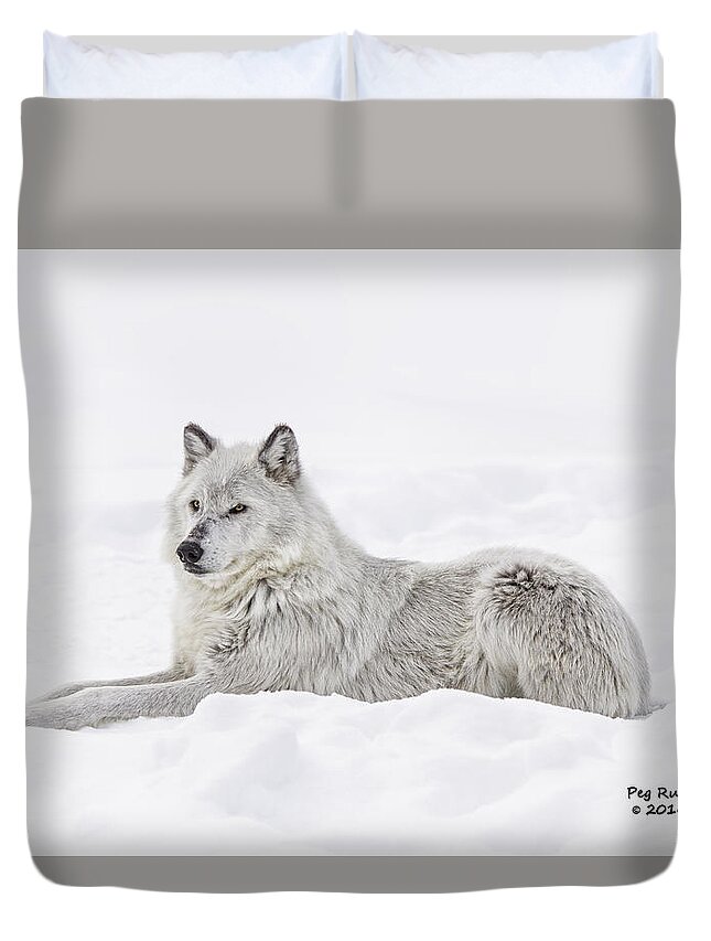 Wolf Duvet Cover featuring the photograph White on White by Peg Runyan