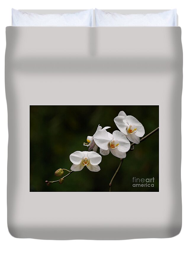 Orchids Duvet Cover featuring the photograph White Orchids by Lorenzo Cassina