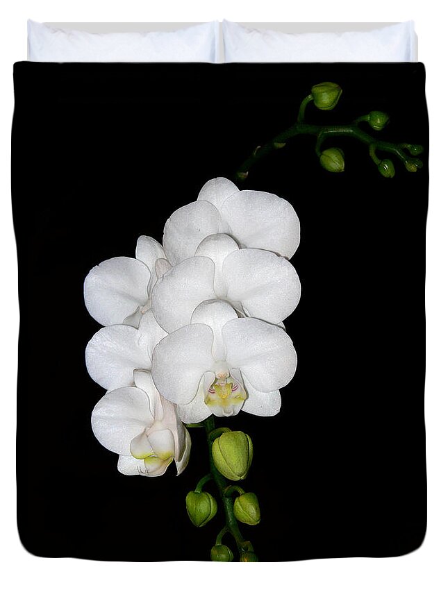White Duvet Cover featuring the photograph White Orchids on Black by Michele A Loftus