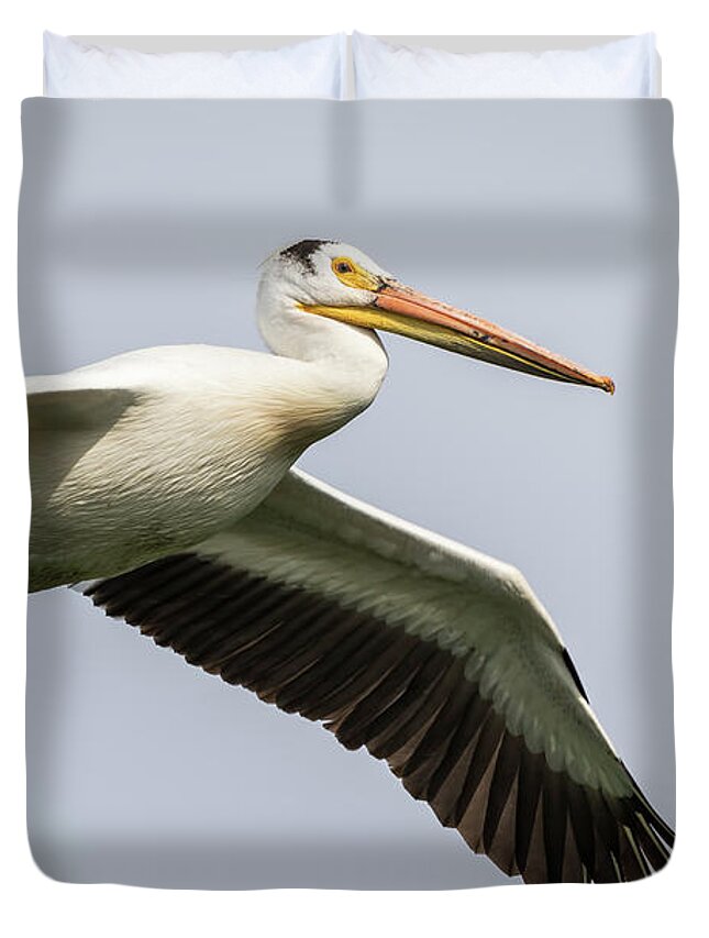 American White Pelican Duvet Cover featuring the photograph White Pelican 2016-1 by Thomas Young