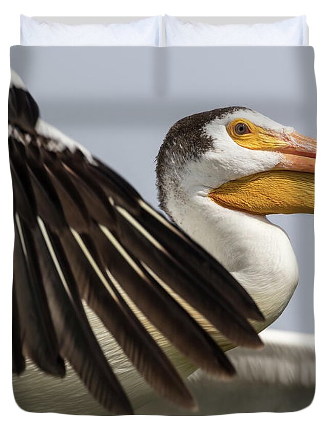 American White Pelican Duvet Cover featuring the photograph White Pelican 2016-3 by Thomas Young