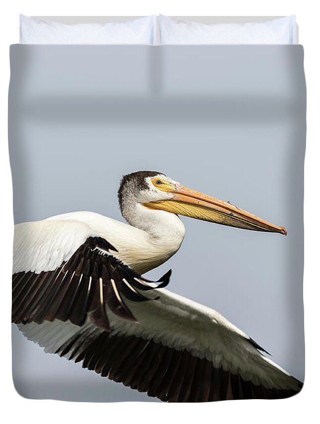 American White Pelican Duvet Cover featuring the photograph White Pelican 2016-4 by Thomas Young