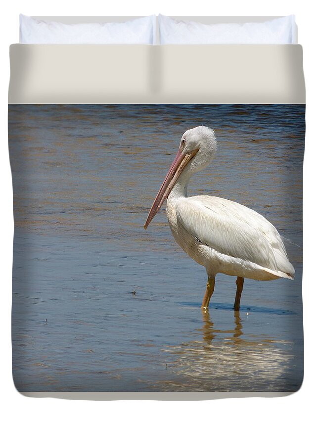Sanibel White Pelican Duvet Cover featuring the photograph White Pelican by Melinda Saminski