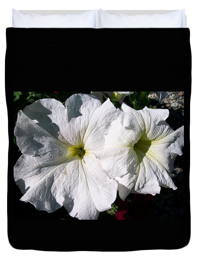 Petunia Duvet Cover featuring the photograph White Petunia by Sharon Duguay