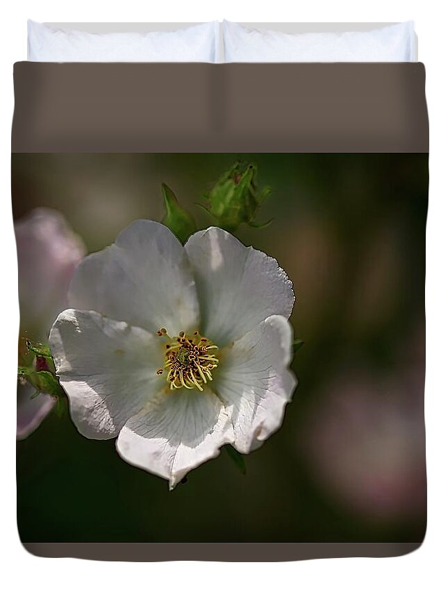 Hdr Photography Duvet Cover featuring the photograph White Rose in Shadow by Richard Gregurich