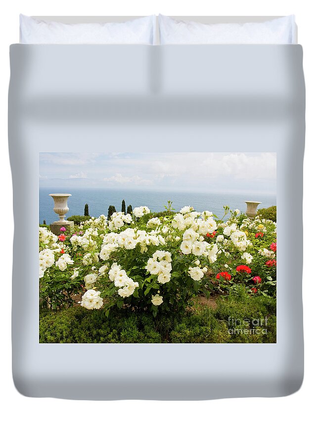 White Duvet Cover featuring the photograph White roses in garden on sea coast by Irina Afonskaya